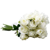 Wholesale - White Rose Stem 20.5" C/P 288, UPC: 763713423176